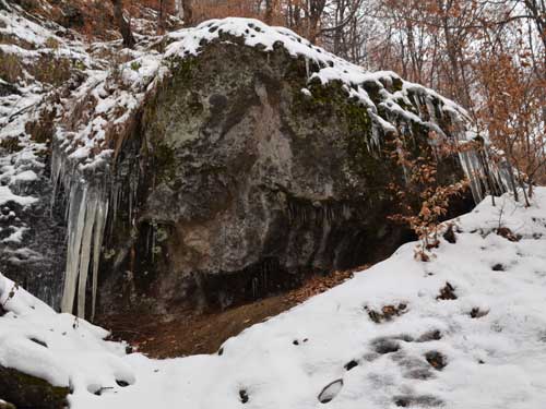 Foto Coltii iernii (c) Petru Goja